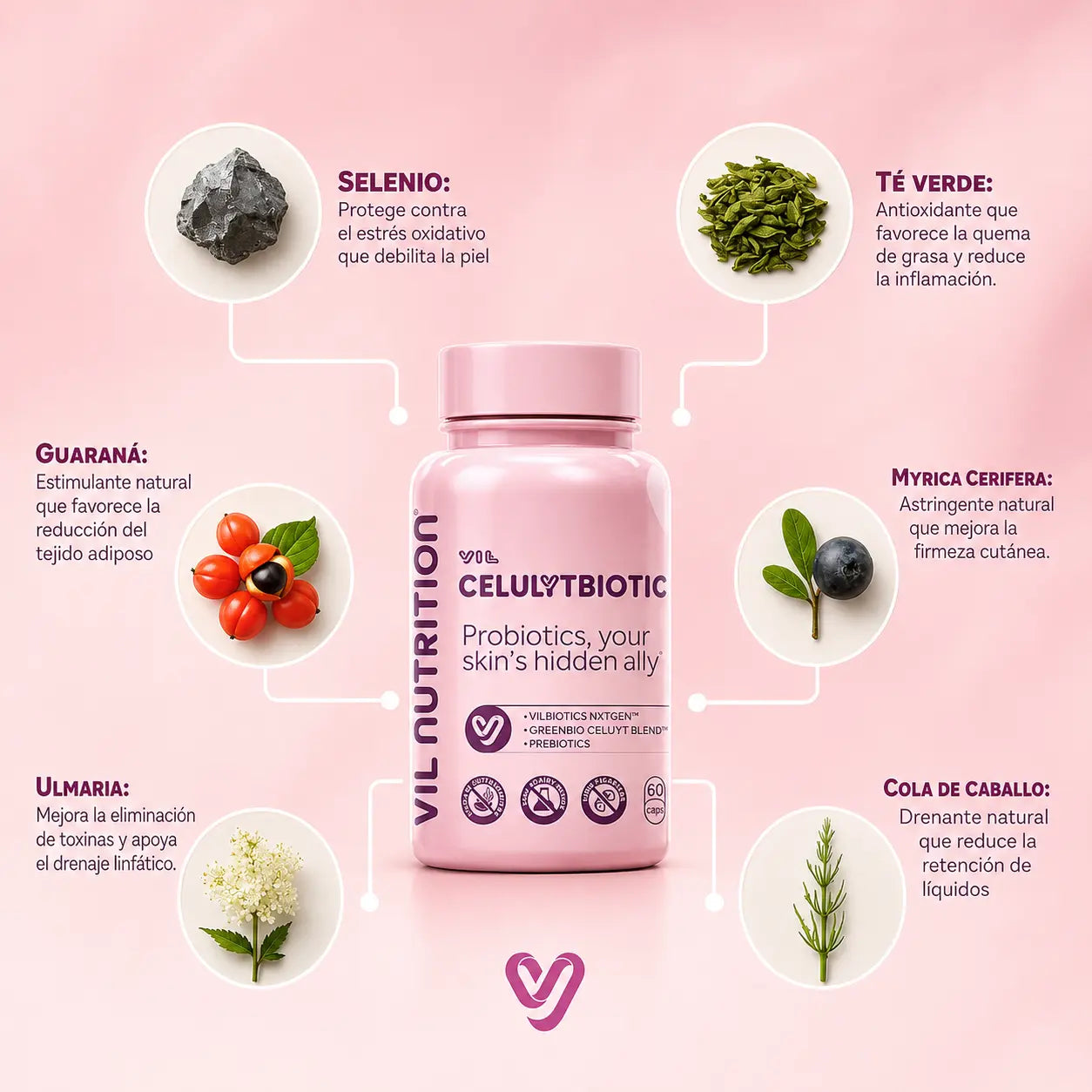 CelulitBiotic™ | Probióticos